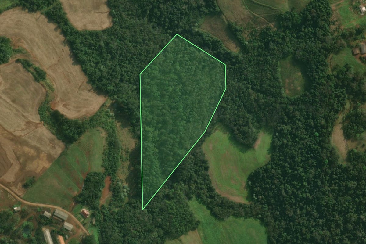 Imagem de satélite do imóvel rural em Tunápolis (SC), com o contorno declarado no CAR desenhado por cima.