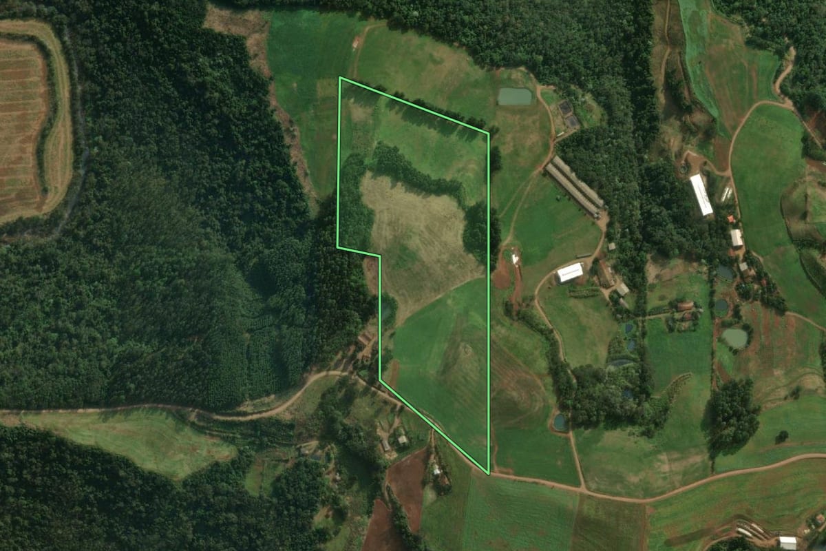 Imagem de satélite do imóvel rural em Tunápolis (SC), com o contorno declarado no CAR desenhado por cima.
