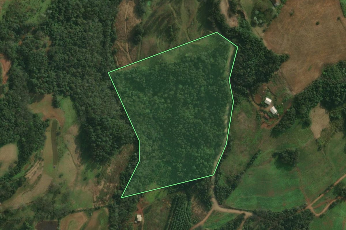 Imagem de satélite do imóvel rural em Tunápolis (SC), com o contorno declarado no CAR desenhado por cima.