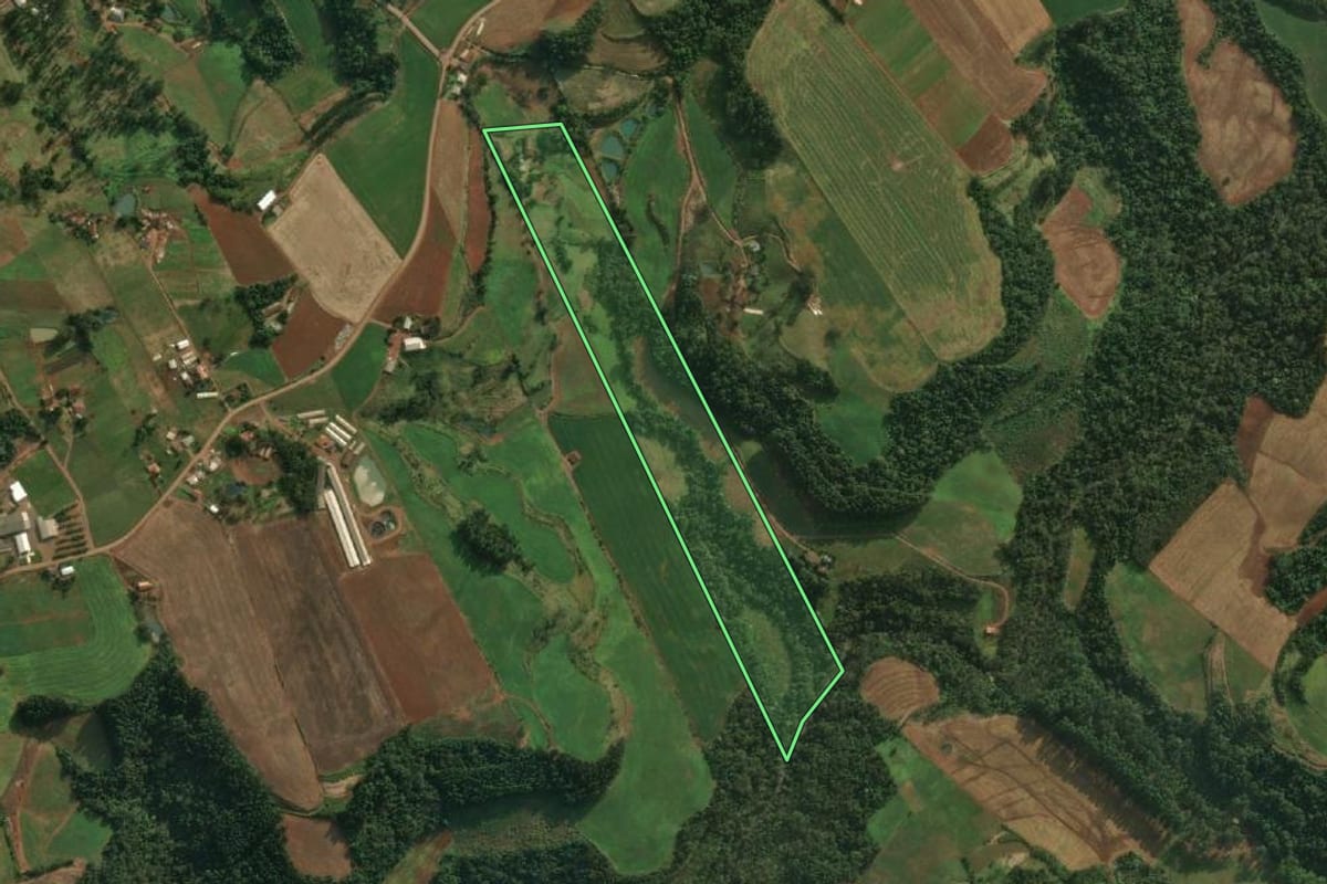 Imagem de satélite do imóvel rural em Tunápolis (SC), com o contorno declarado no CAR desenhado por cima.