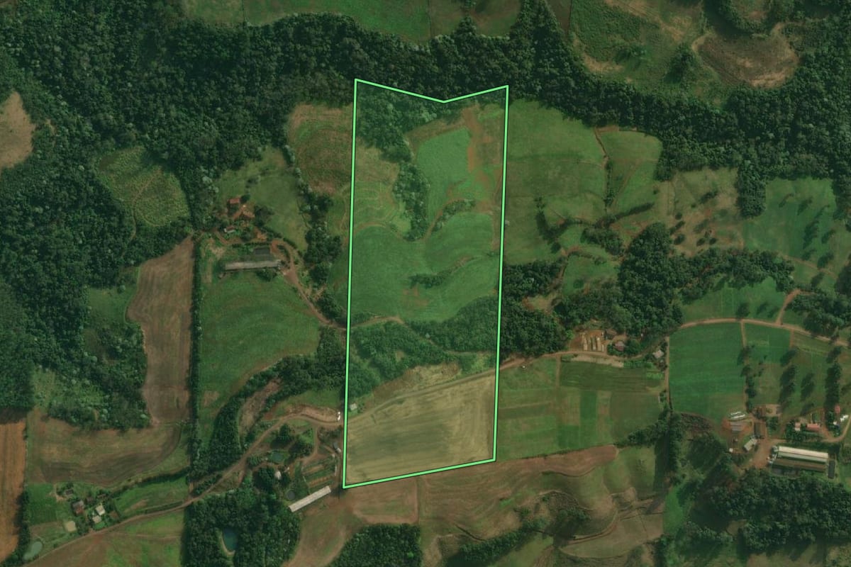 Imagem de satélite do imóvel rural em Tunápolis (SC), com o contorno declarado no CAR desenhado por cima.