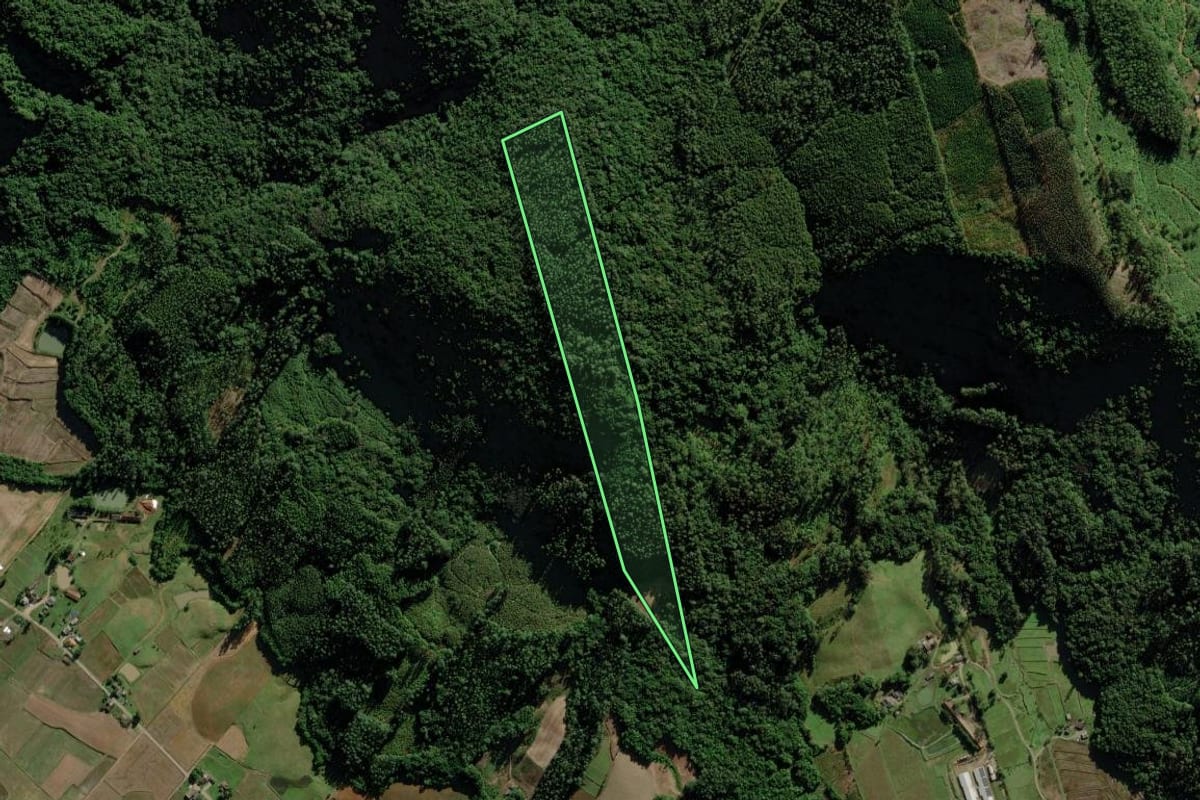 Imagem de satélite do imóvel rural em Turvo (SC), com o contorno declarado no CAR desenhado por cima.