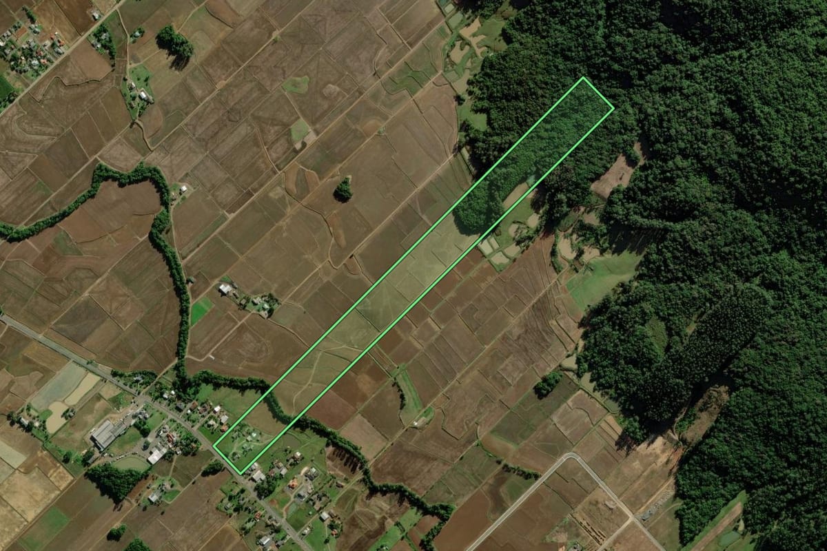 Imagem de satélite do imóvel rural em Turvo (SC), com o contorno declarado no CAR desenhado por cima.