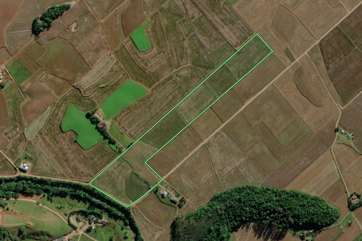 Imagem de satélite do imóvel rural em Turvo (SC), com o contorno declarado no CAR desenhado por cima.