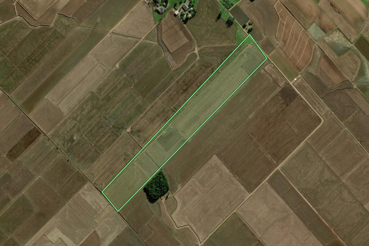 Imagem de satélite do imóvel rural em Turvo (SC), com o contorno declarado no CAR desenhado por cima.