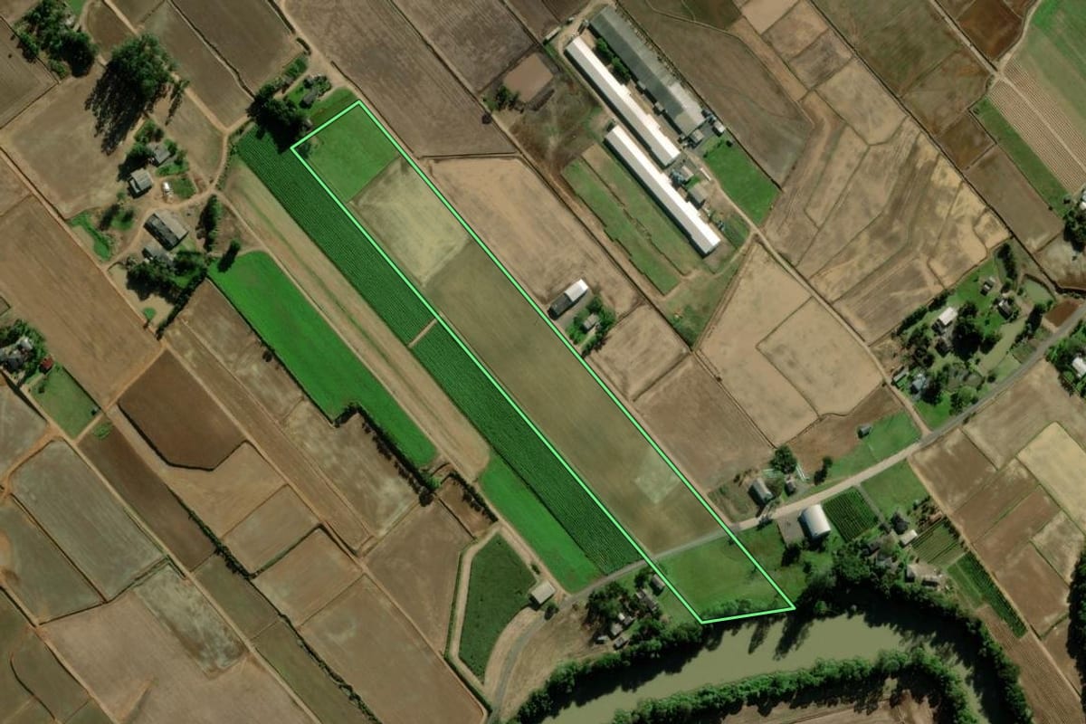Imagem de satélite do imóvel rural em Turvo (SC), com o contorno declarado no CAR desenhado por cima.