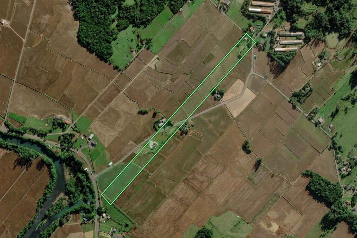 Imagem de satélite do imóvel rural em Turvo (SC), com o contorno declarado no CAR desenhado por cima.