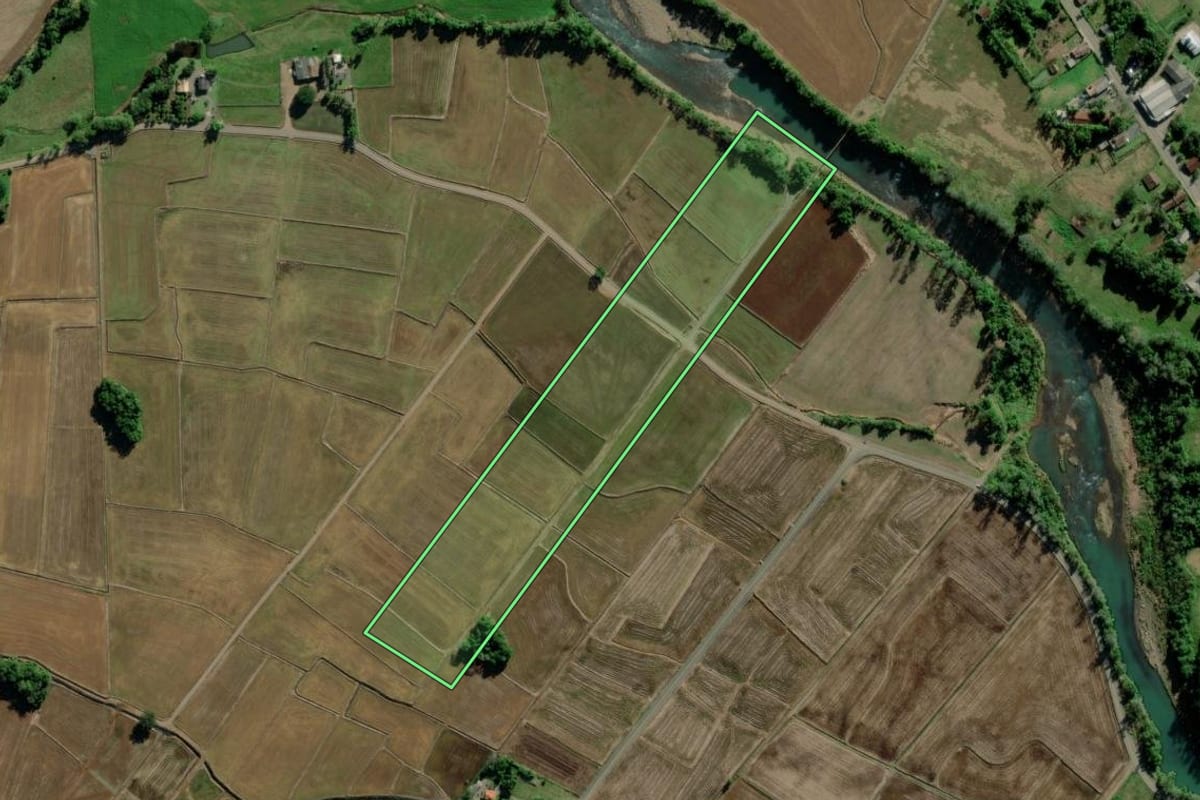 Imagem de satélite do imóvel rural em Turvo (SC), com o contorno declarado no CAR desenhado por cima.