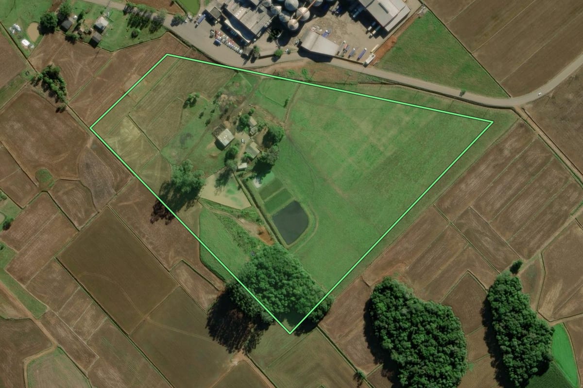 Imagem de satélite do imóvel rural em Turvo (SC), com o contorno declarado no CAR desenhado por cima.