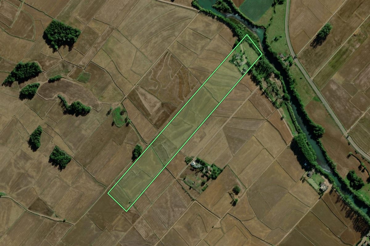 Imagem de satélite do imóvel rural em Turvo (SC), com o contorno declarado no CAR desenhado por cima.
