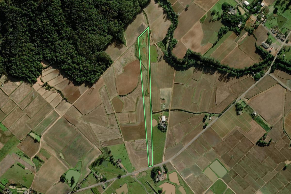 Imagem de satélite do imóvel rural em Turvo (SC), com o contorno declarado no CAR desenhado por cima.