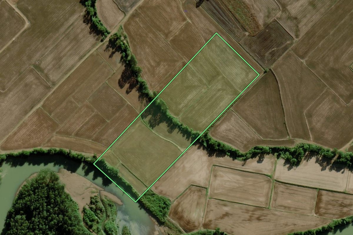 Imagem de satélite do imóvel rural em Turvo (SC), com o contorno declarado no CAR desenhado por cima.