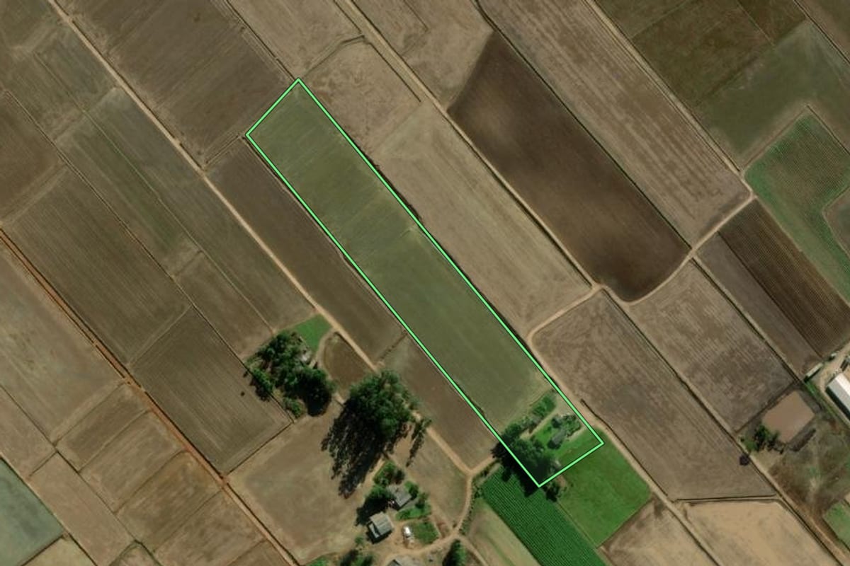 Imagem de satélite do imóvel rural em Turvo (SC), com o contorno declarado no CAR desenhado por cima.