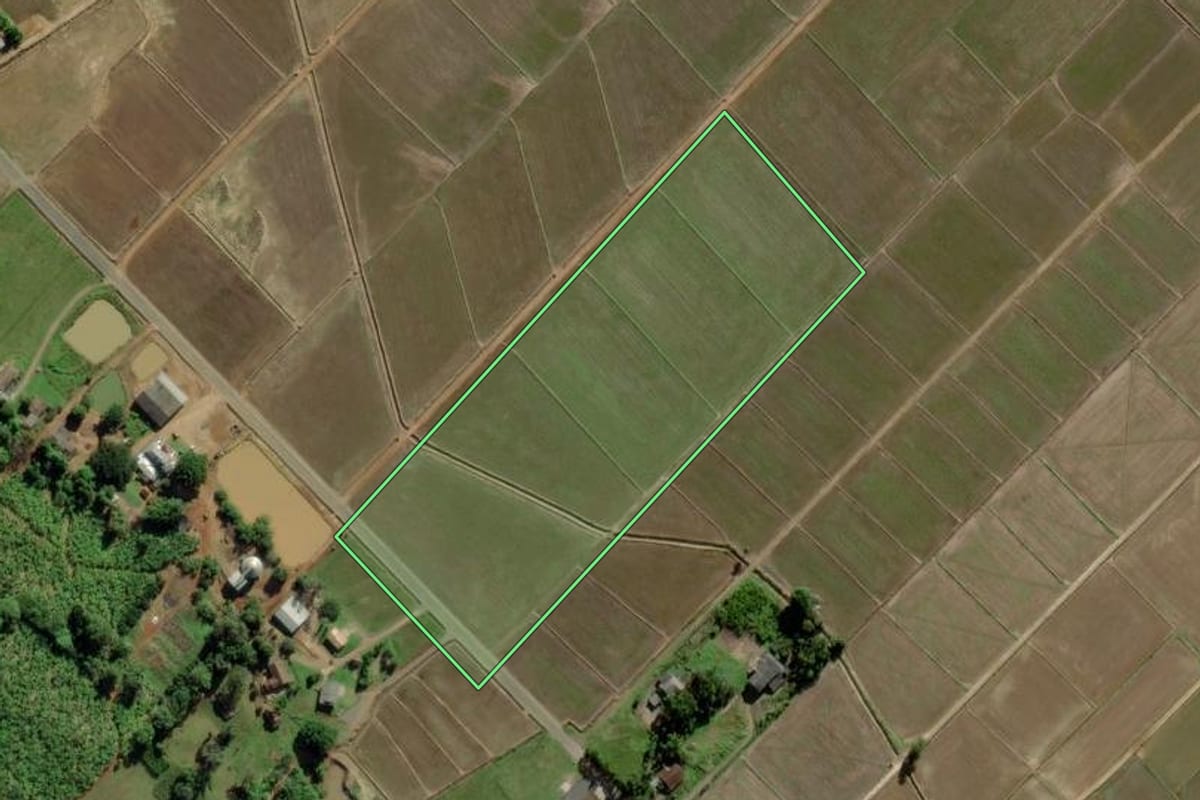 Imagem de satélite do imóvel rural em Turvo (SC), com o contorno declarado no CAR desenhado por cima.