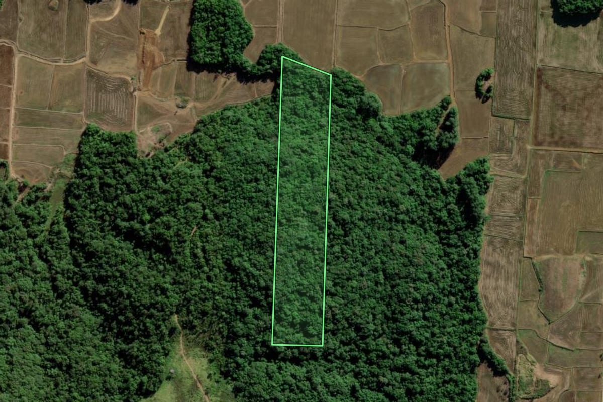 Imagem de satélite do imóvel rural em Turvo (SC), com o contorno declarado no CAR desenhado por cima.