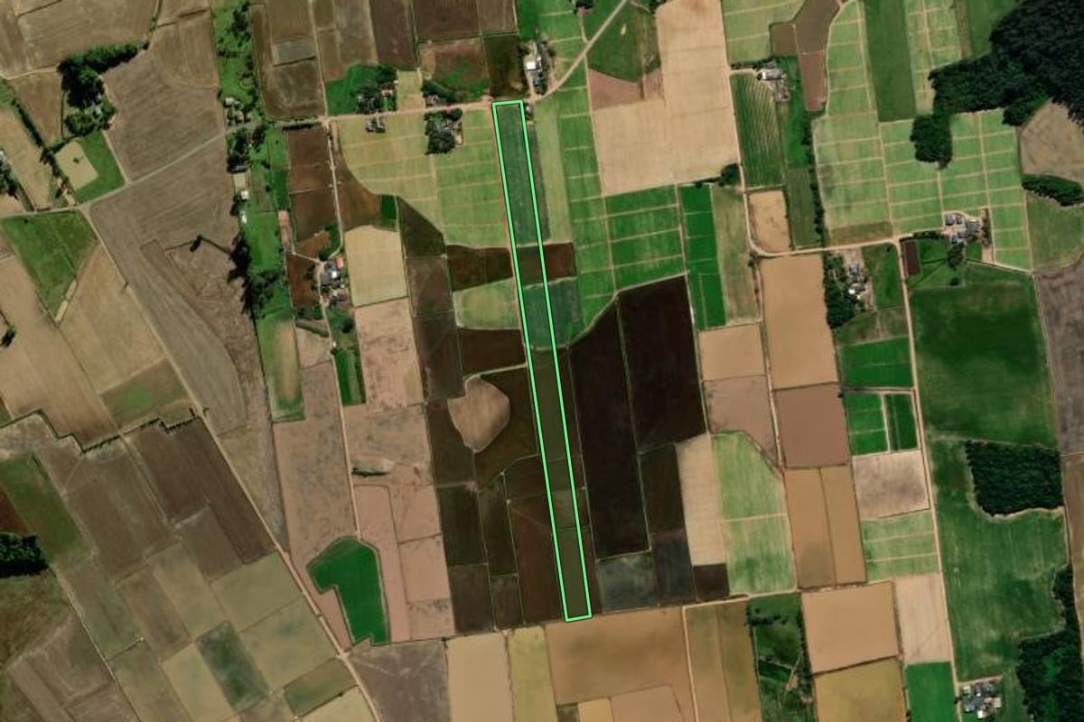 Imagem de satélite do imóvel rural em Turvo (SC), com o contorno declarado no CAR desenhado por cima.