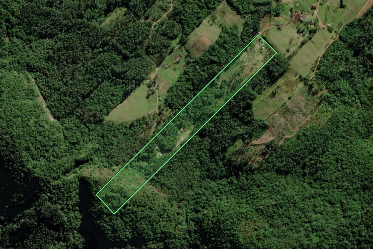 Imagem de satélite do imóvel rural em Turvo (SC), com o contorno declarado no CAR desenhado por cima.
