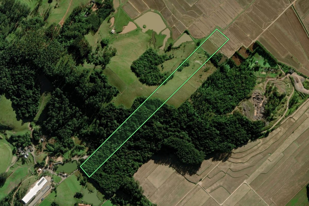 Imagem de satélite do imóvel rural em Turvo (SC), com o contorno declarado no CAR desenhado por cima.