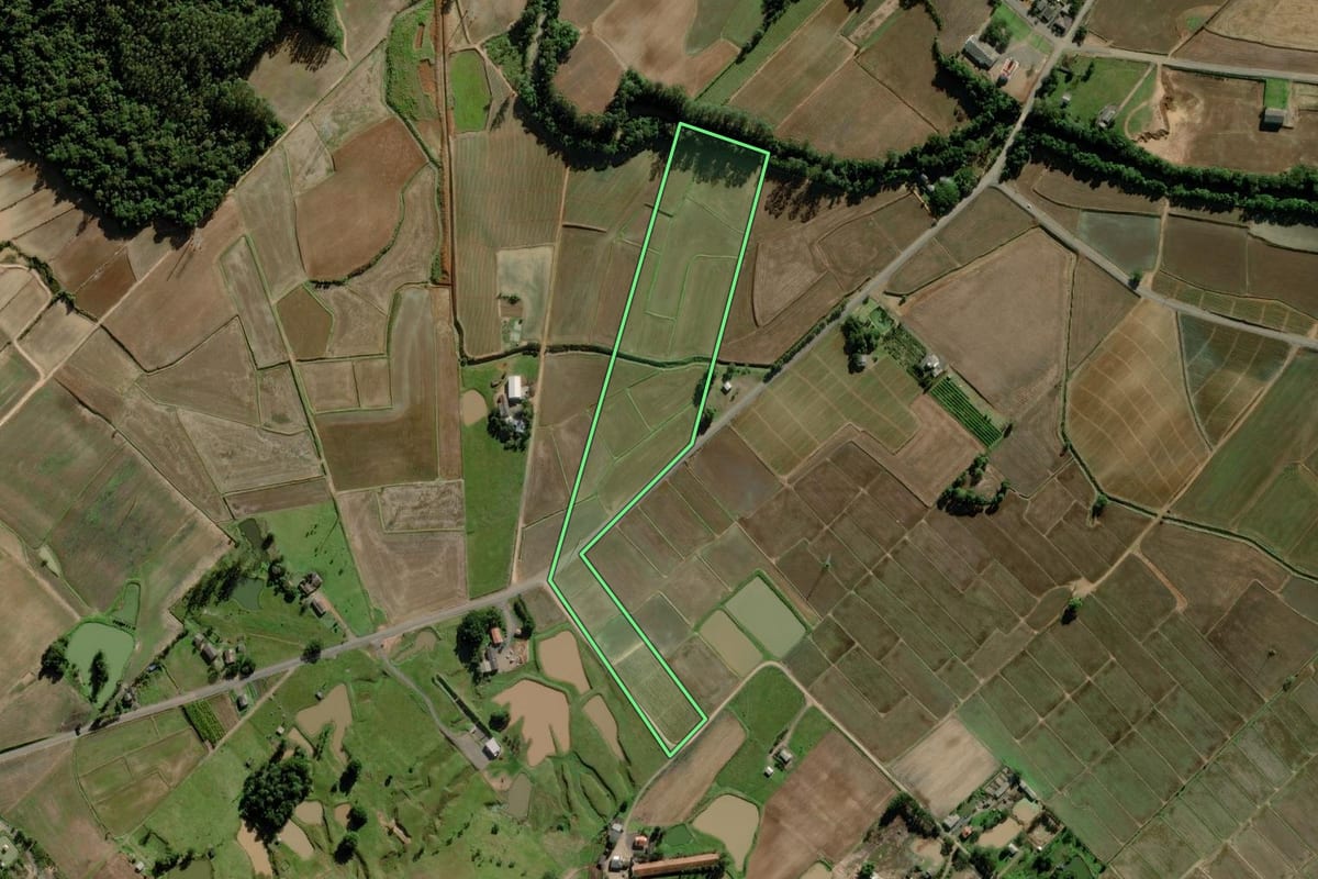 Imagem de satélite do imóvel rural em Turvo (SC), com o contorno declarado no CAR desenhado por cima.