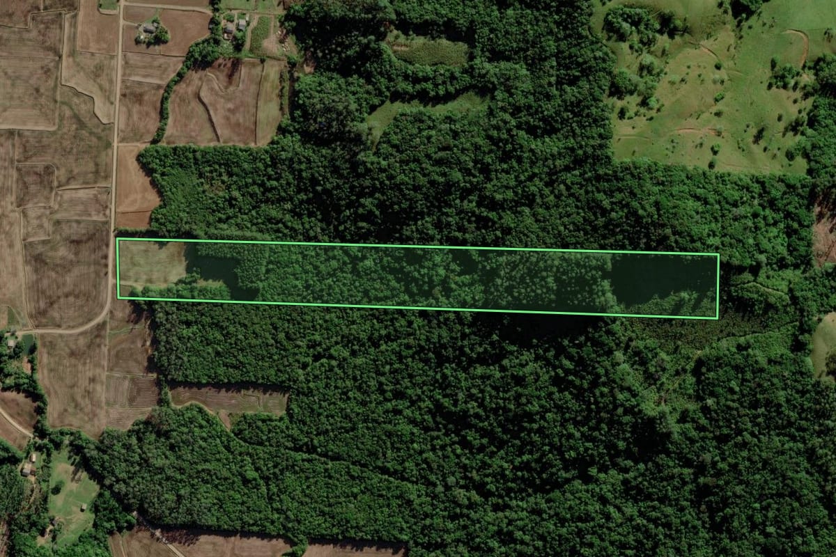Imagem de satélite do imóvel rural em Turvo (SC), com o contorno declarado no CAR desenhado por cima.