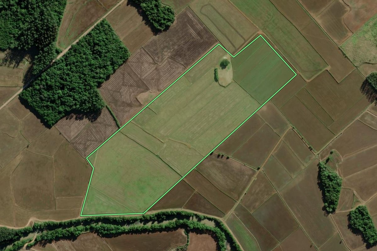Imagem de satélite do imóvel rural em Turvo (SC), com o contorno declarado no CAR desenhado por cima.