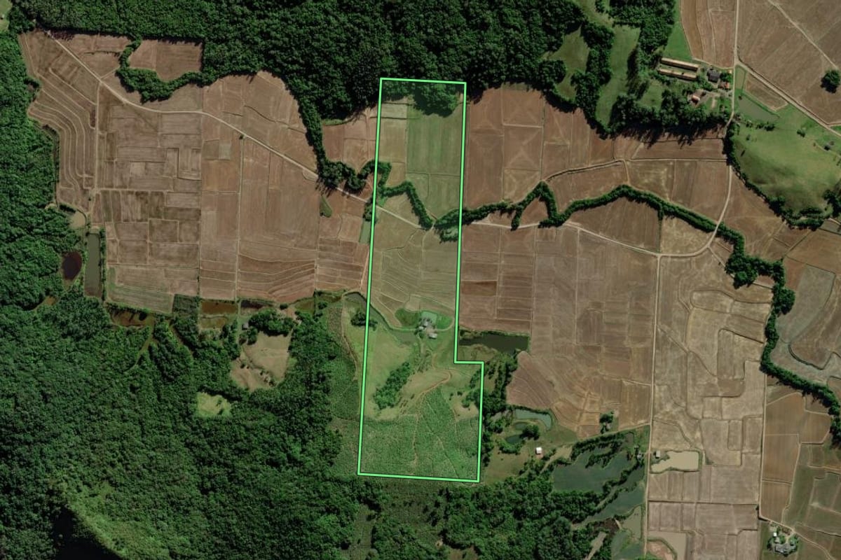 Imagem de satélite do imóvel rural em Turvo (SC), com o contorno declarado no CAR desenhado por cima.