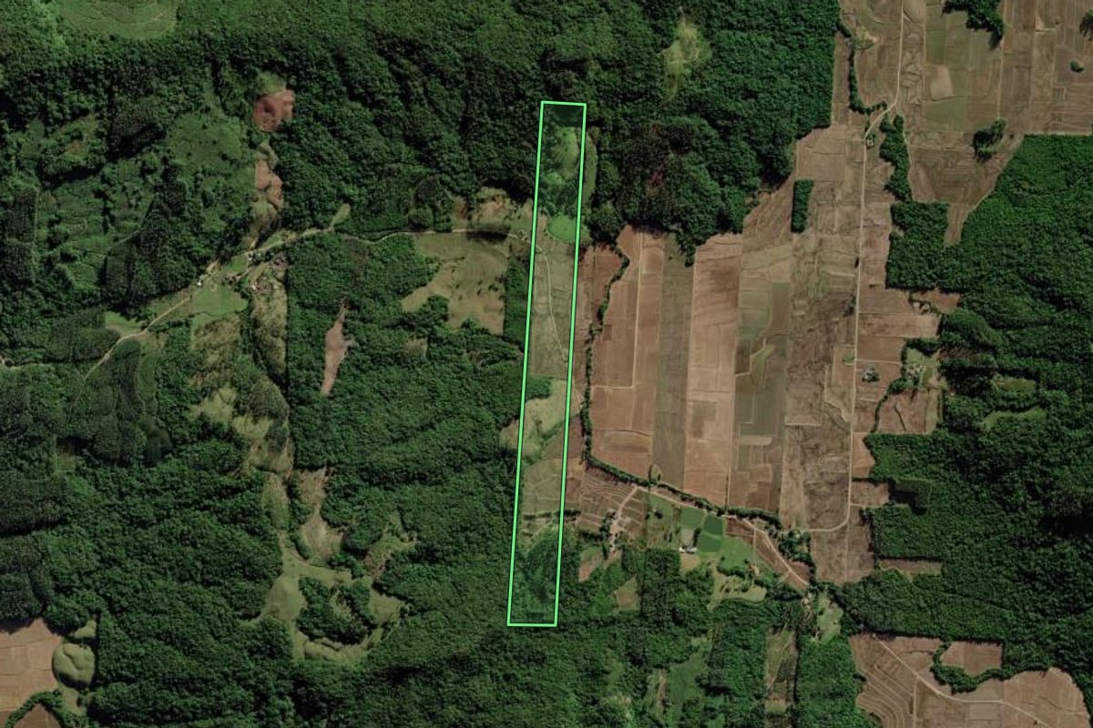 Imagem de satélite do imóvel rural em Turvo (SC), com o contorno declarado no CAR desenhado por cima.