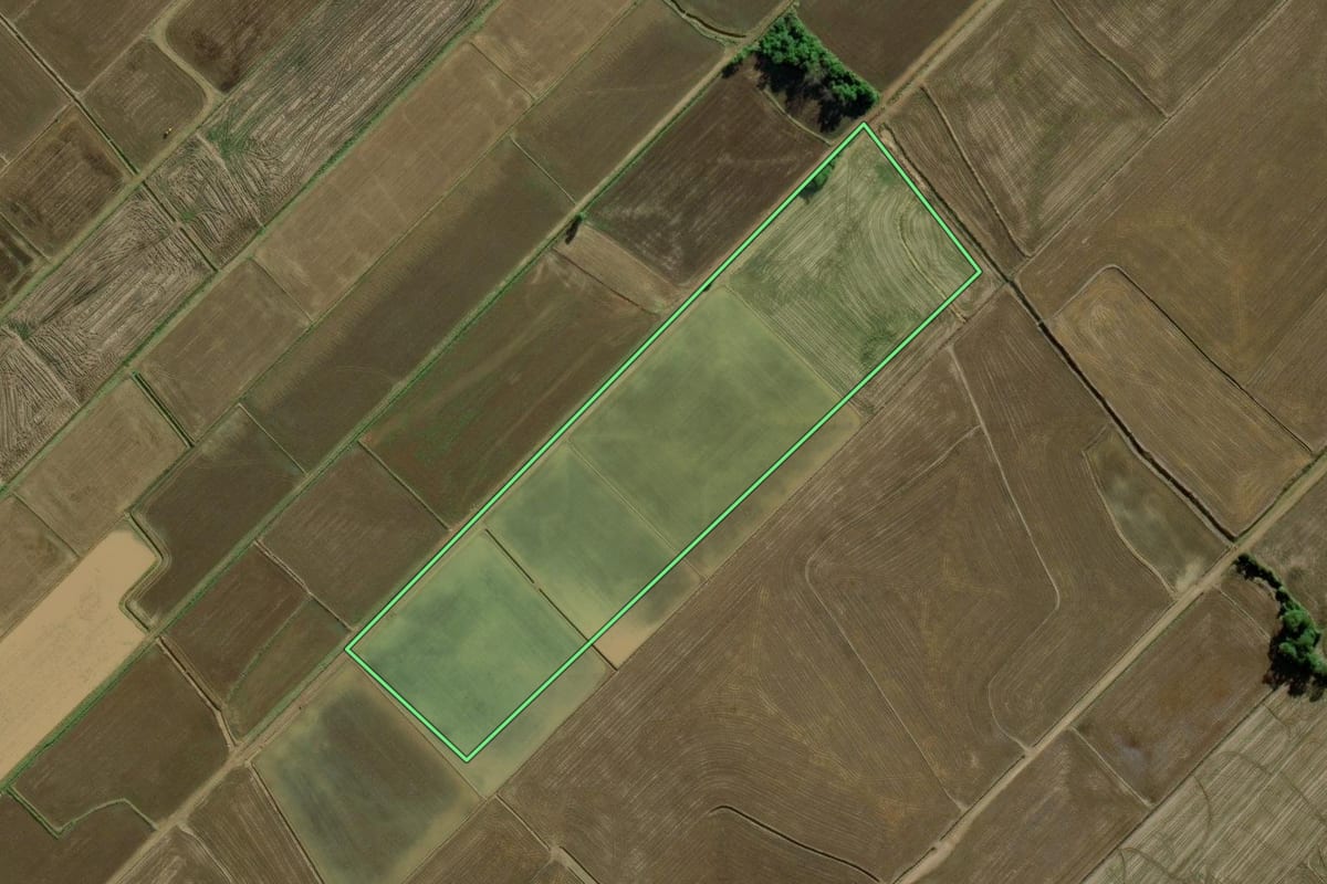 Imagem de satélite do imóvel rural em Turvo (SC), com o contorno declarado no CAR desenhado por cima.