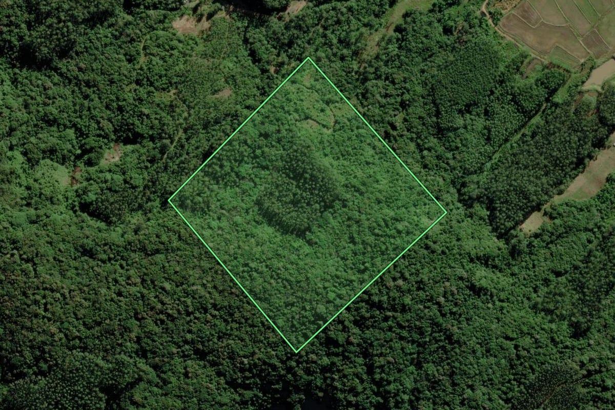 Imagem de satélite do imóvel rural em Turvo (SC), com o contorno declarado no CAR desenhado por cima.