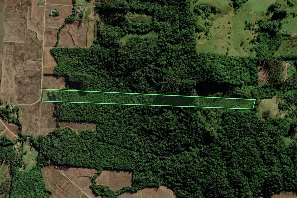 Imagem de satélite do imóvel rural em Turvo (SC), com o contorno declarado no CAR desenhado por cima.