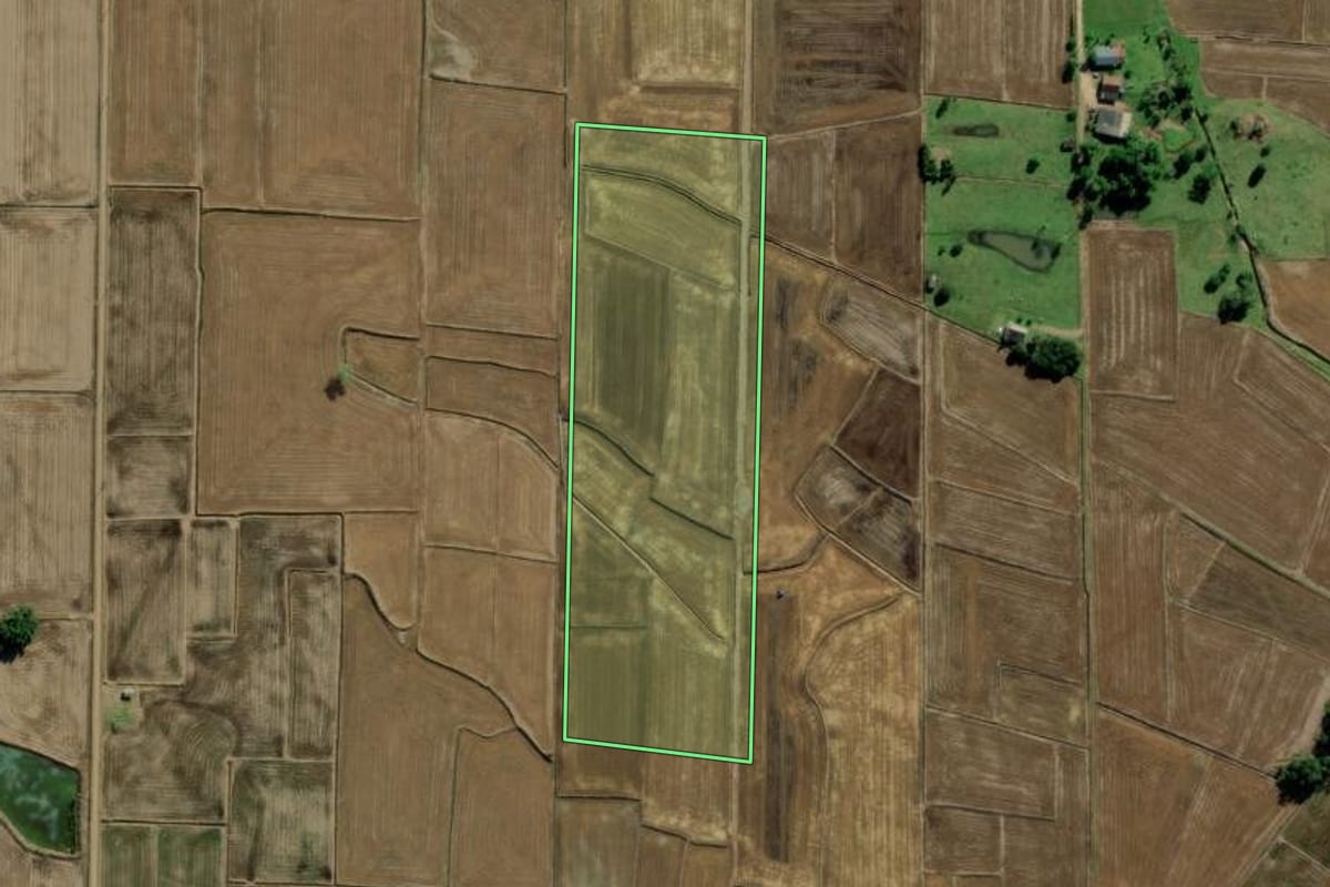 Imagem de satélite do imóvel rural em Turvo (SC), com o contorno declarado no CAR desenhado por cima.