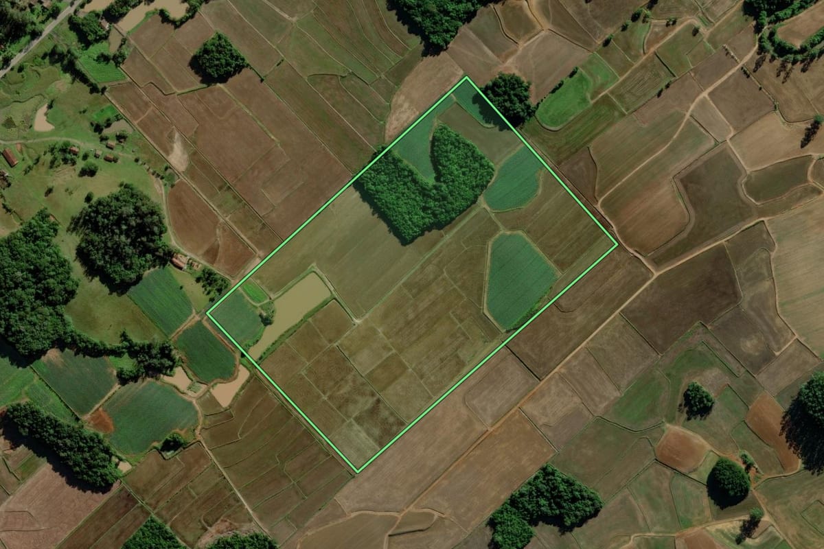 Imagem de satélite do imóvel rural em Turvo (SC), com o contorno declarado no CAR desenhado por cima.