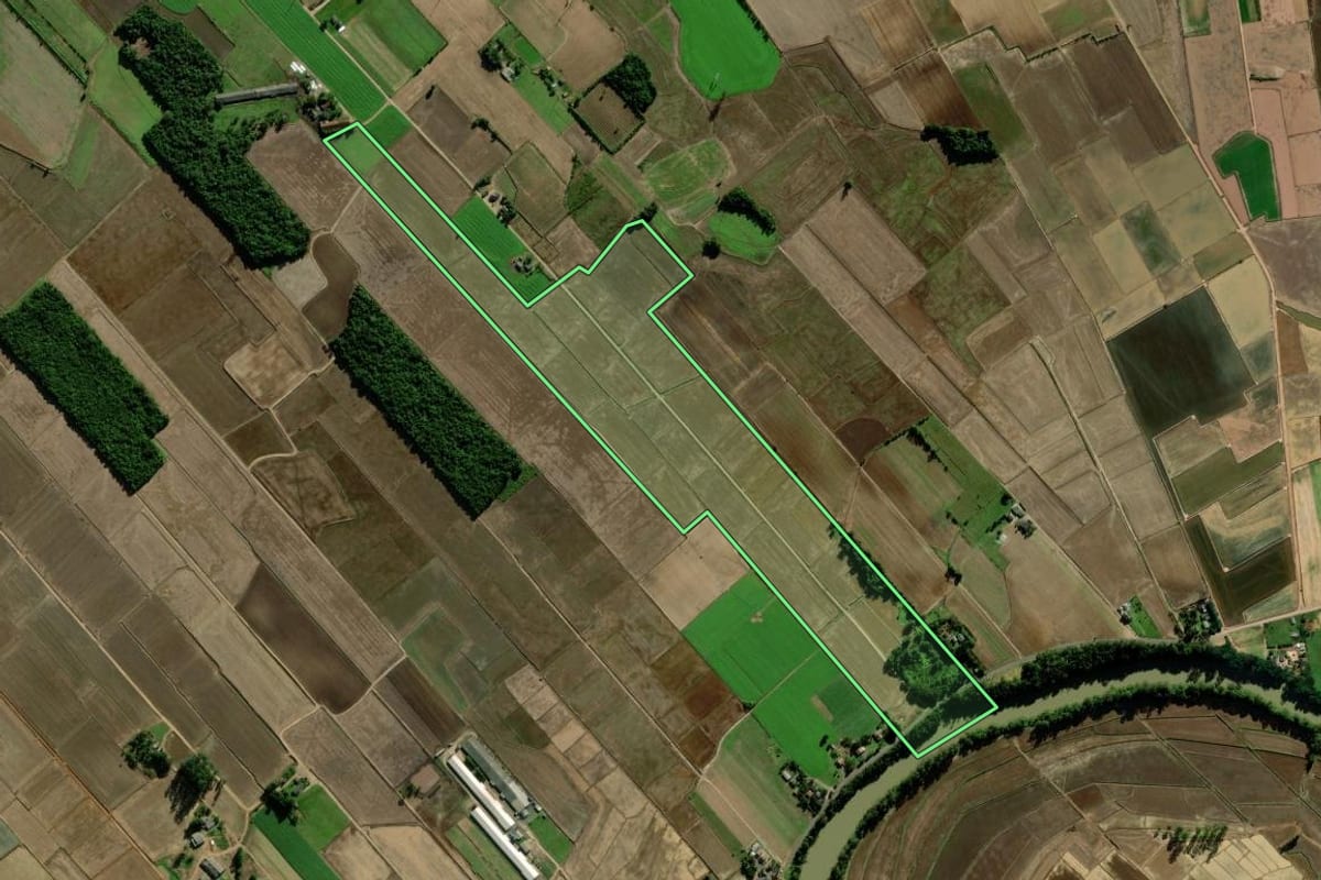 Imagem de satélite do imóvel rural em Turvo (SC), com o contorno declarado no CAR desenhado por cima.
