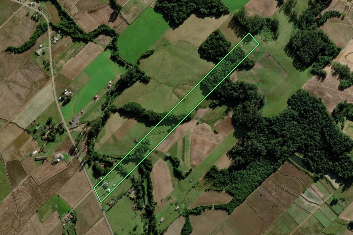 Imagem de satélite do imóvel rural em Turvo (SC), com o contorno declarado no CAR desenhado por cima.
