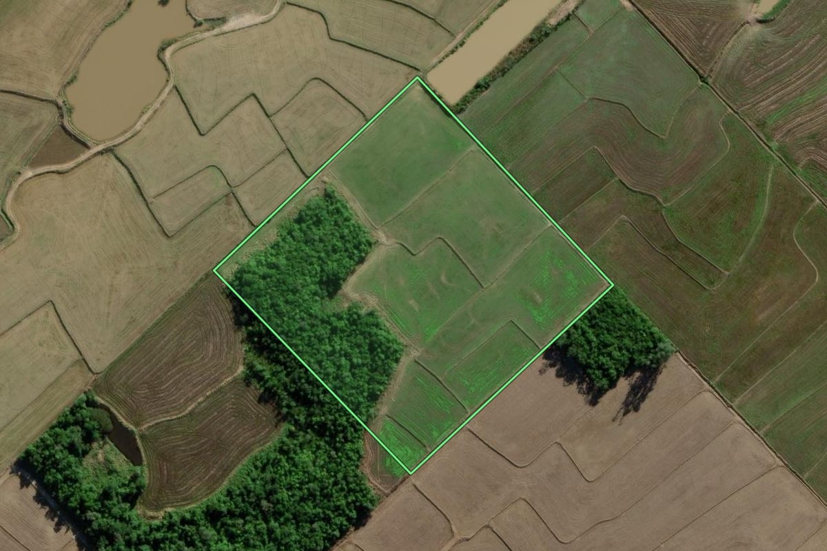 Imagem de satélite do imóvel rural em Turvo (SC), com o contorno declarado no CAR desenhado por cima.