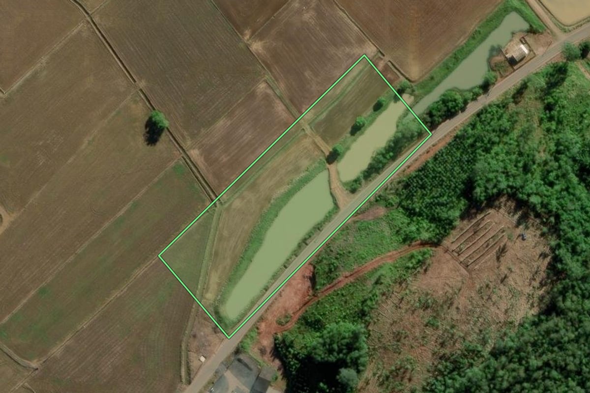 Imagem de satélite do imóvel rural em Turvo (SC), com o contorno declarado no CAR desenhado por cima.
