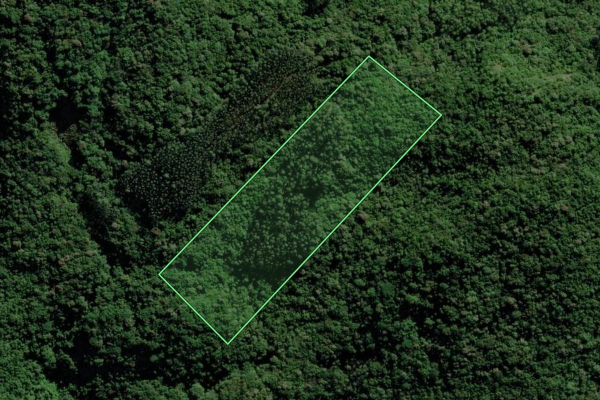Imagem de satélite do imóvel rural em Turvo (SC), com o contorno declarado no CAR desenhado por cima.