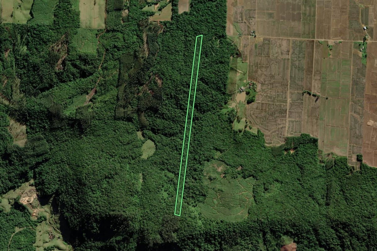 Imagem de satélite do imóvel rural em Turvo (SC), com o contorno declarado no CAR desenhado por cima.