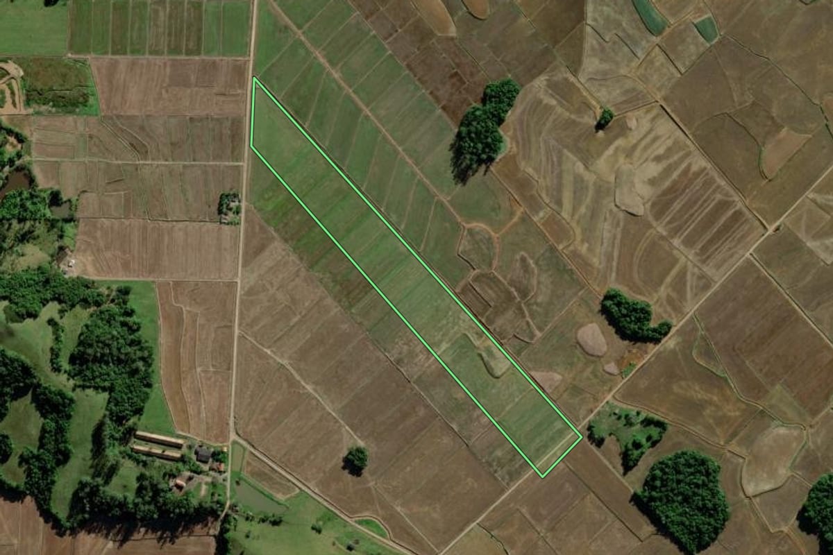 Imagem de satélite do imóvel rural em Turvo (SC), com o contorno declarado no CAR desenhado por cima.