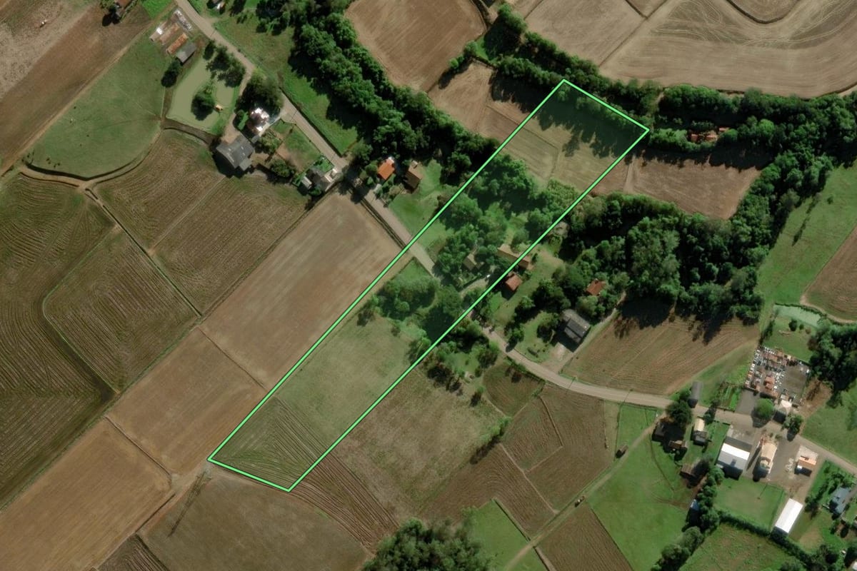 Imagem de satélite do imóvel rural em Turvo (SC), com o contorno declarado no CAR desenhado por cima.