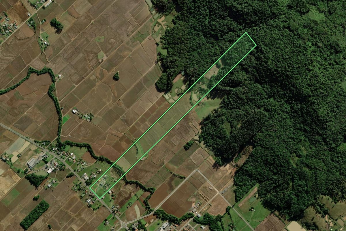Imagem de satélite do imóvel rural em Turvo (SC), com o contorno declarado no CAR desenhado por cima.