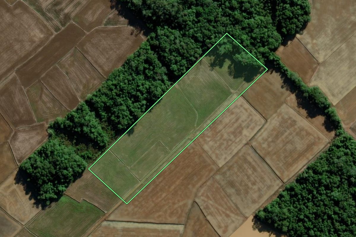 Imagem de satélite do imóvel rural em Turvo (SC), com o contorno declarado no CAR desenhado por cima.