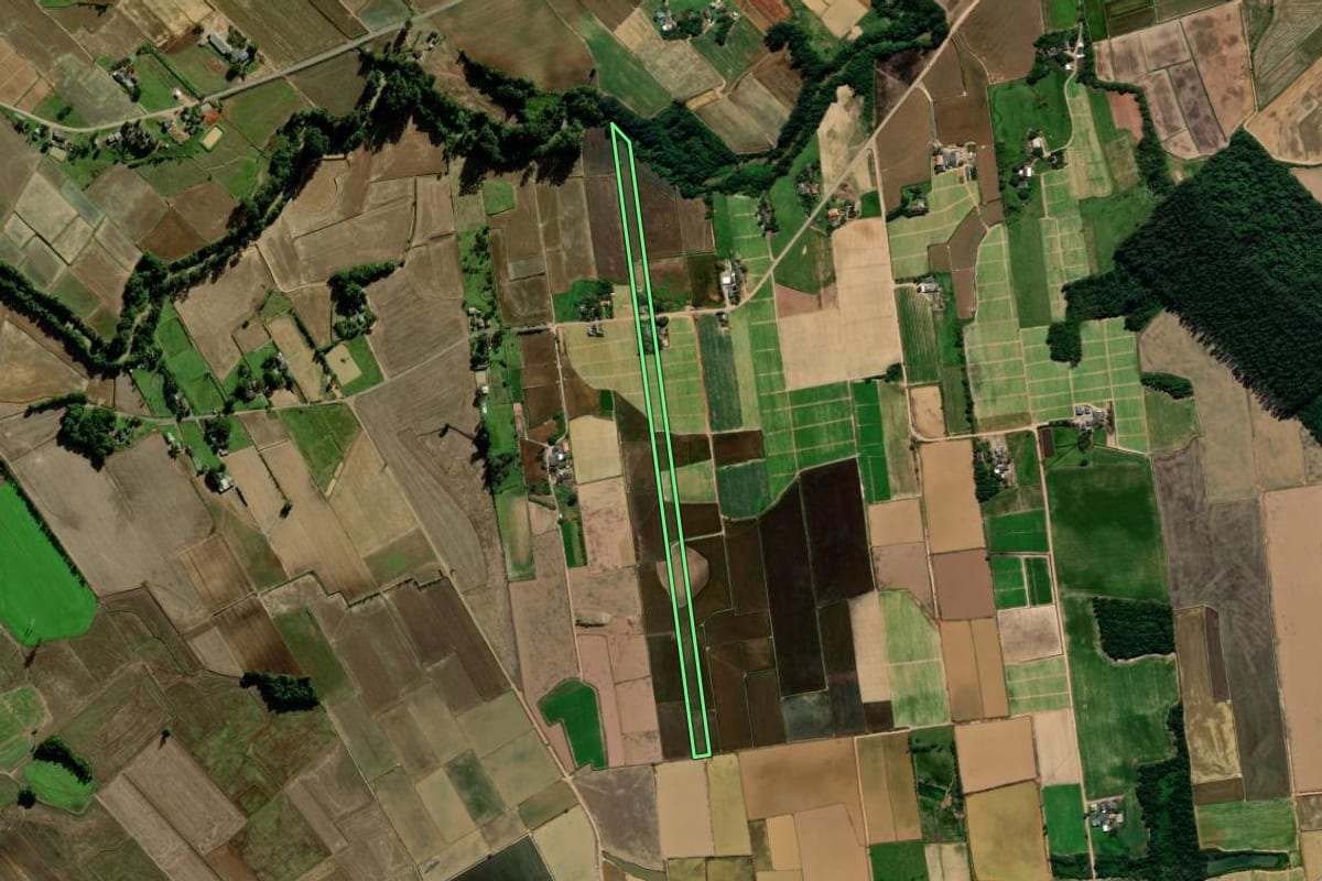 Imagem de satélite do imóvel rural em Turvo (SC), com o contorno declarado no CAR desenhado por cima.