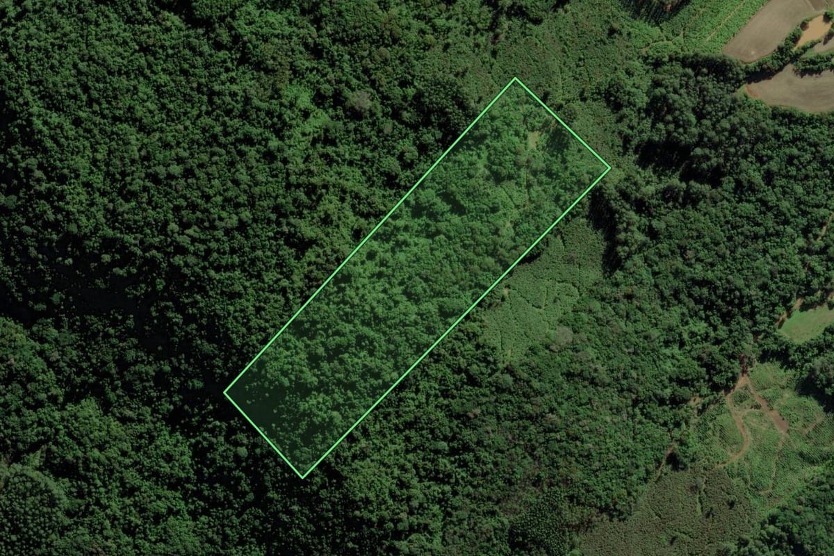Imagem de satélite do imóvel rural em Turvo (SC), com o contorno declarado no CAR desenhado por cima.