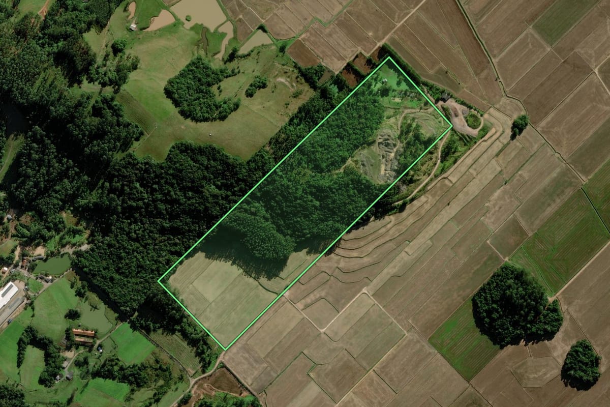 Imagem de satélite do imóvel rural em Turvo (SC), com o contorno declarado no CAR desenhado por cima.