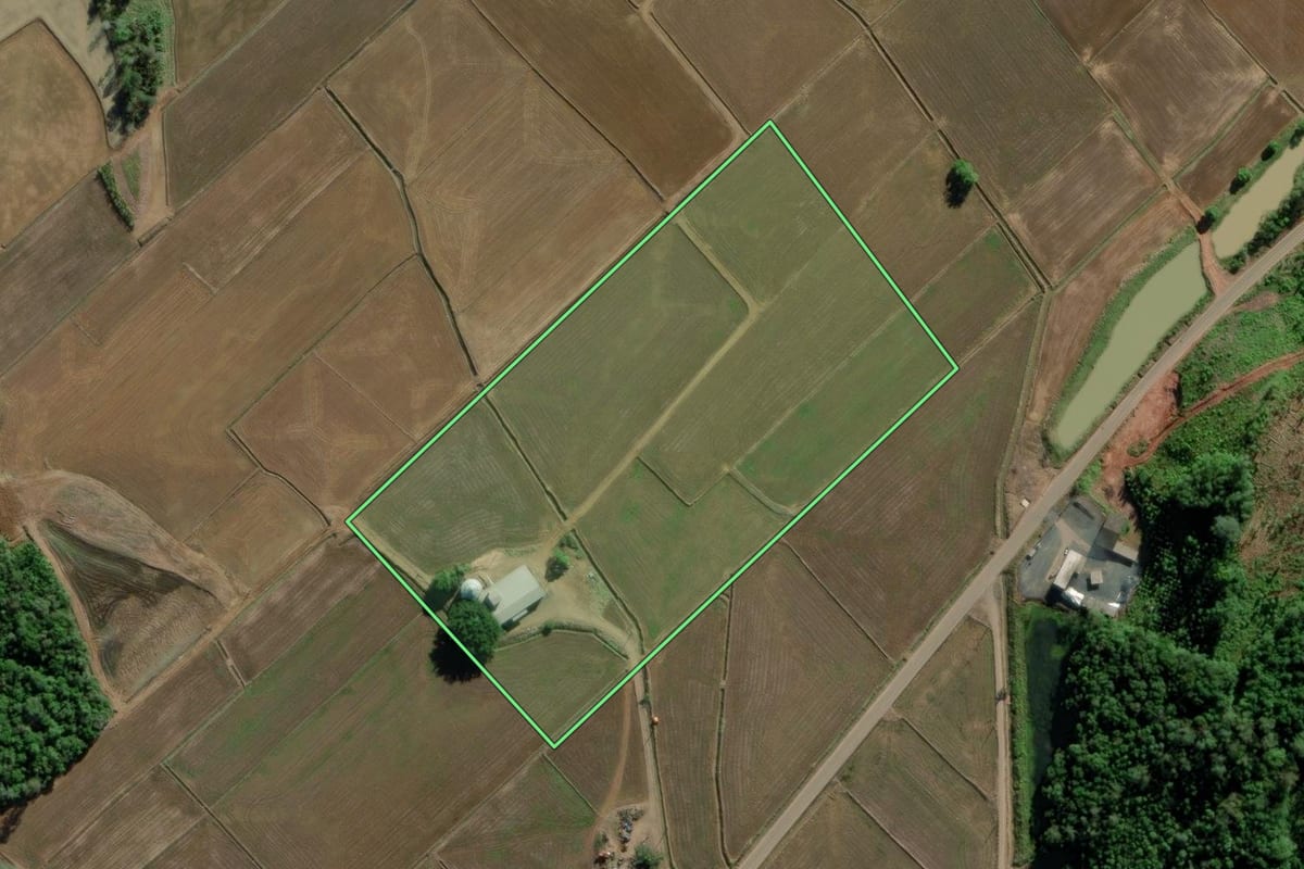 Imagem de satélite do imóvel rural em Turvo (SC), com o contorno declarado no CAR desenhado por cima.
