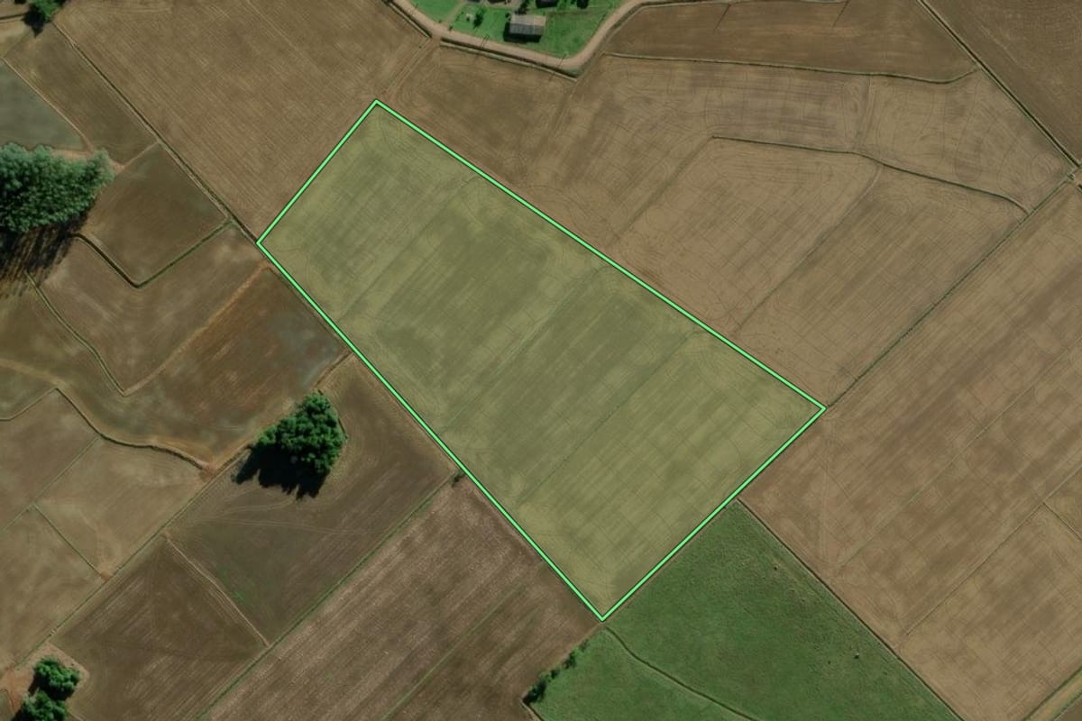 Imagem de satélite do imóvel rural em Turvo (SC), com o contorno declarado no CAR desenhado por cima.
