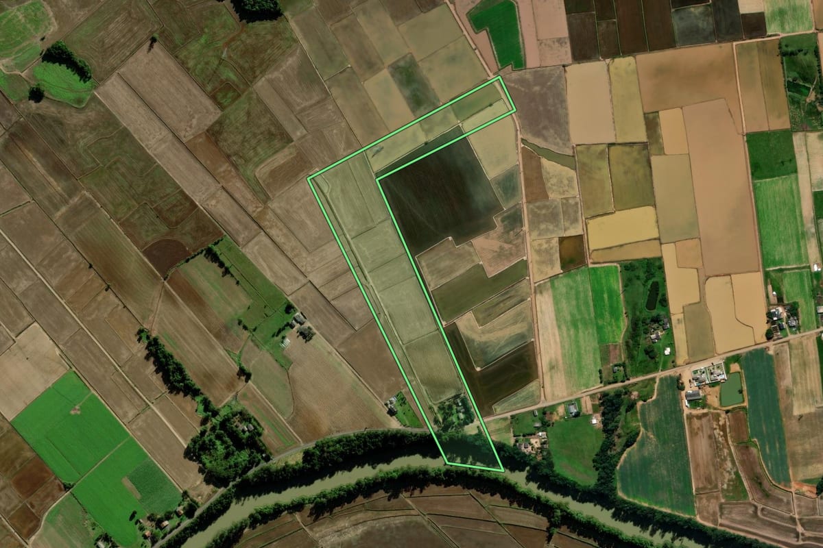 Imagem de satélite do imóvel rural em Turvo (SC), com o contorno declarado no CAR desenhado por cima.