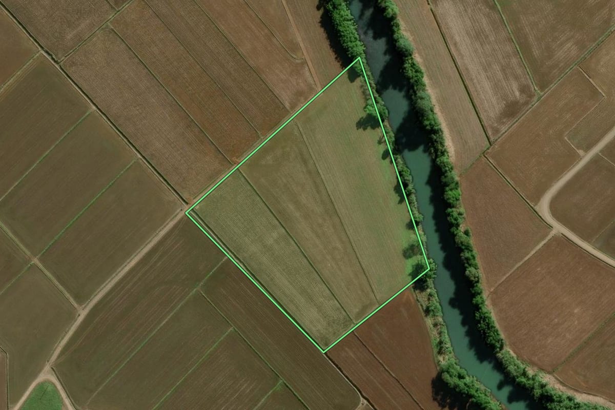 Imagem de satélite do imóvel rural em Turvo (SC), com o contorno declarado no CAR desenhado por cima.