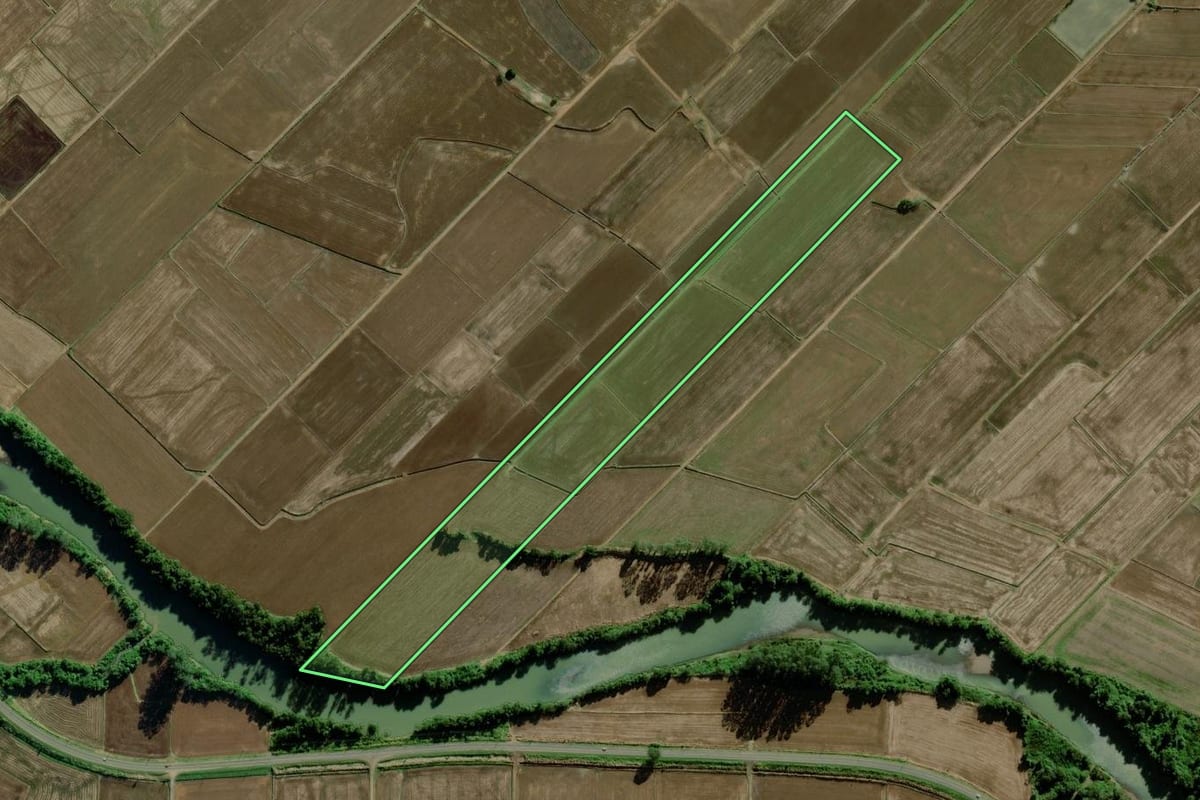 Imagem de satélite do imóvel rural em Turvo (SC), com o contorno declarado no CAR desenhado por cima.